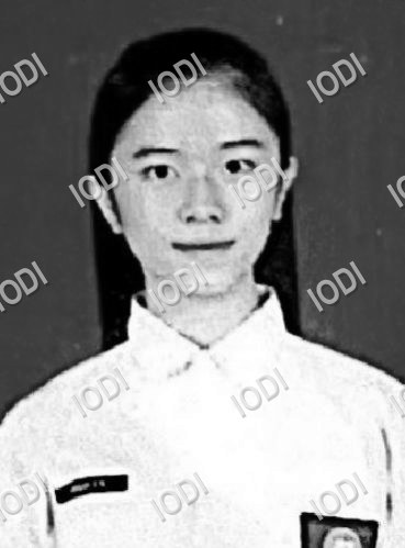 Foto anggota Jenifer