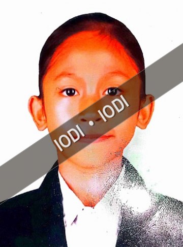 Foto anggota Viola Nailal Shafitri