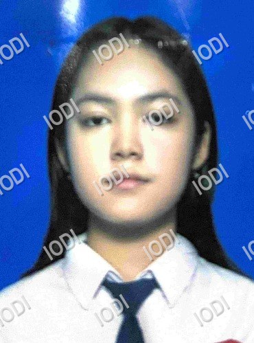 Foto anggota Maria Faustina Ambar Setya Christiani