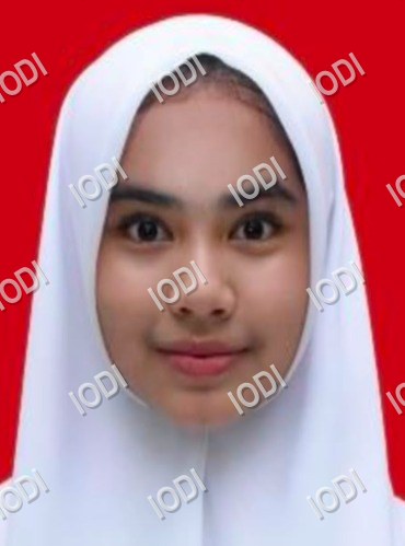 Foto anggota Khoirunnisaa Mulya Sari