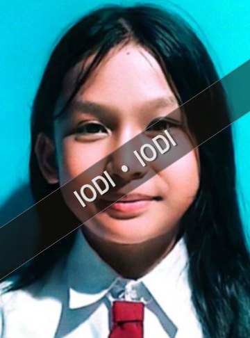 Foto anggota Faiza Putri Mardani